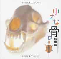 動物の骨 61Rnhjmjk+L._UF350,350_QL50_.jpg
